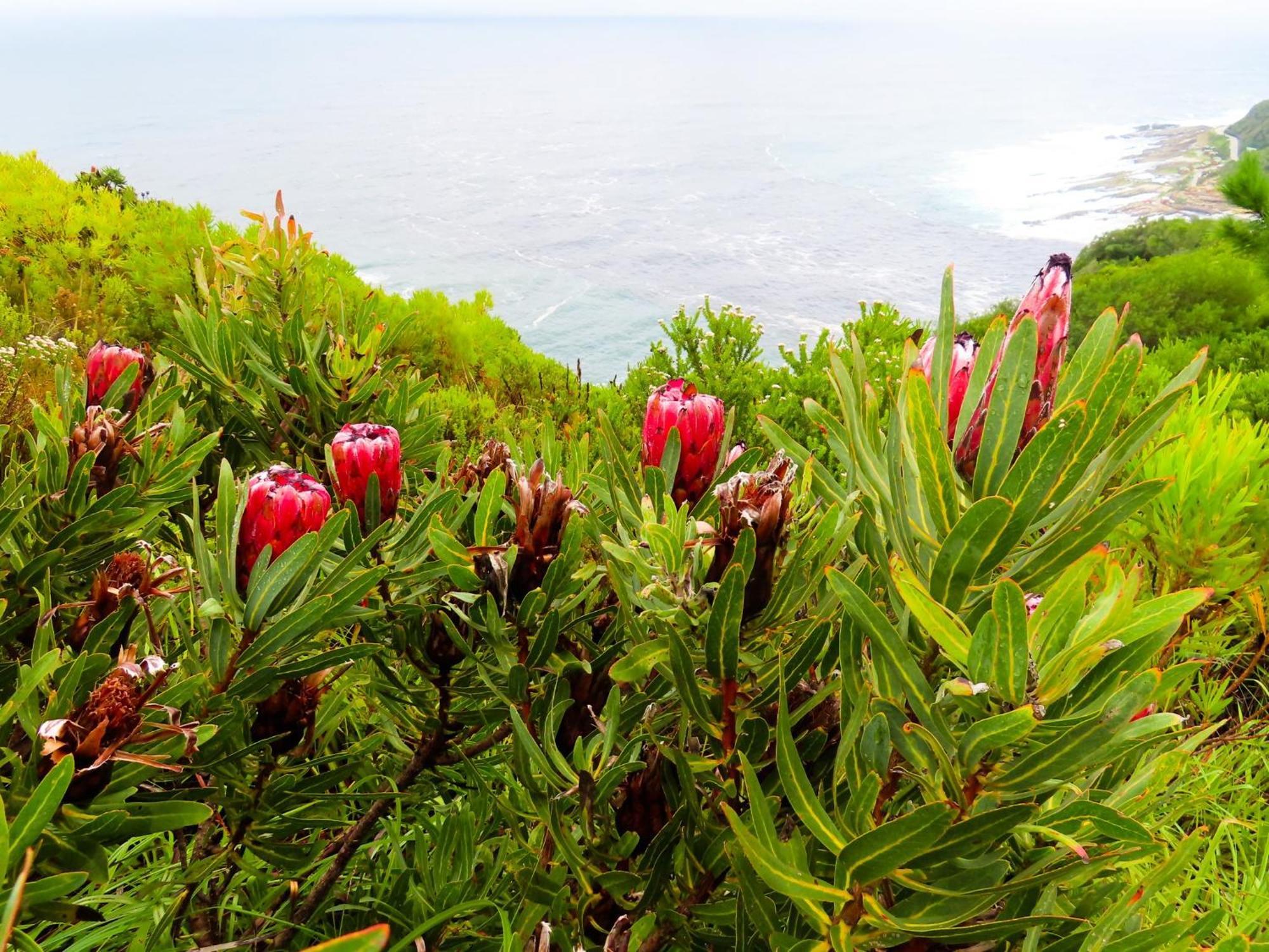 Misty Mountain Reserve Stormsrivier Buitenkant foto